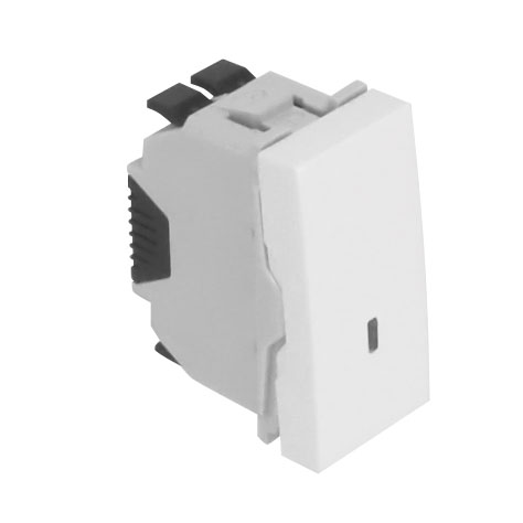 Rocker Switch with Independent Pilot Lamp (12V) - 1 Module