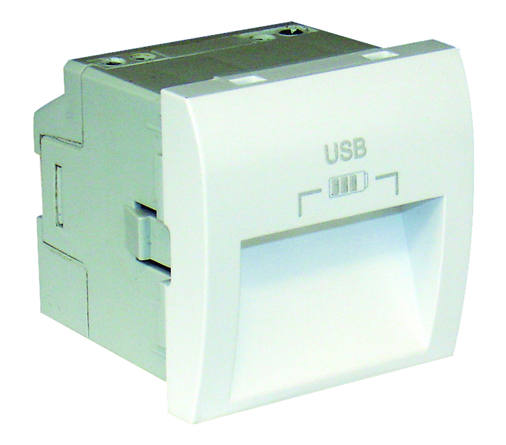 Double USB Charger Type A with 20º Outputs - 2 Modules