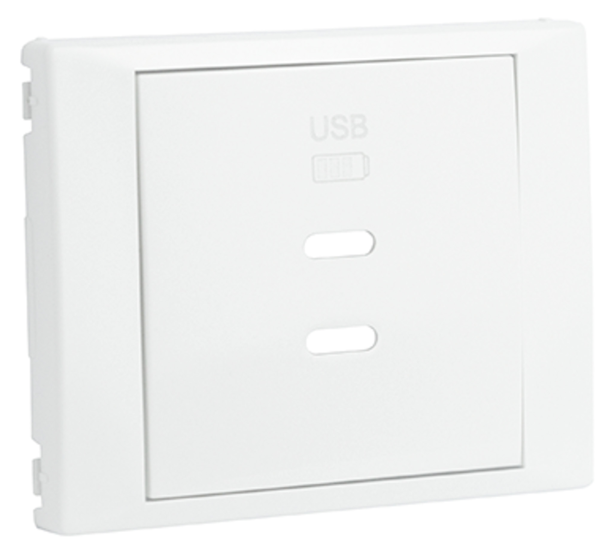 Cover Plate for USB Double Charger Type C