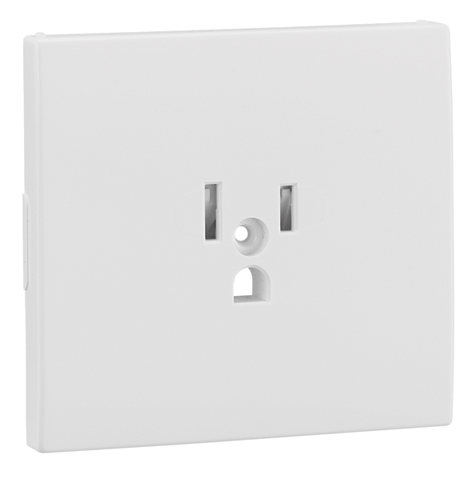 Safety Cover Plate for Earth Socket (USA NEMA Type) 