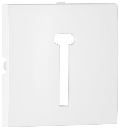 Cover Plate for T8 French Telephone Socket